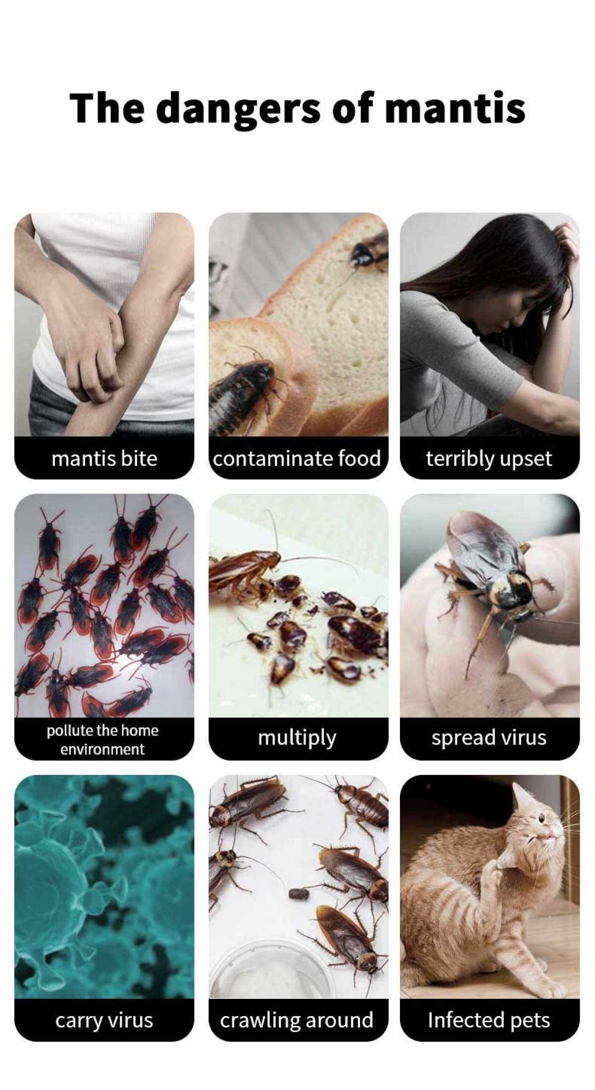 8pcs Cockroach Killer gel bait - Image 13